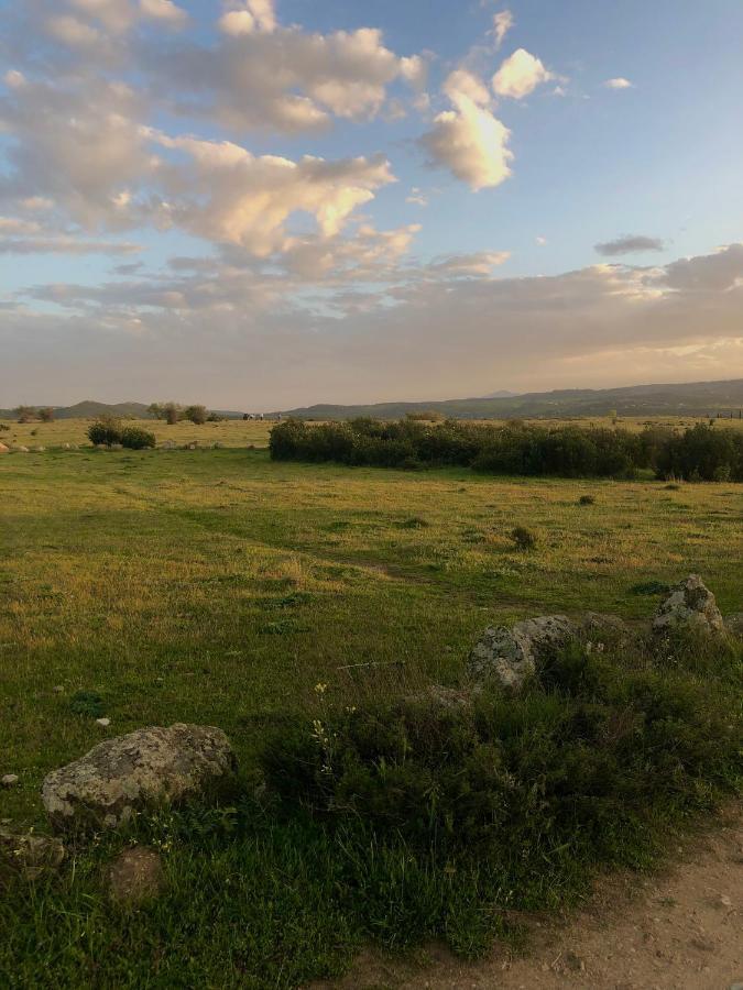 El Lago Cervera de Buitrago 外观 照片